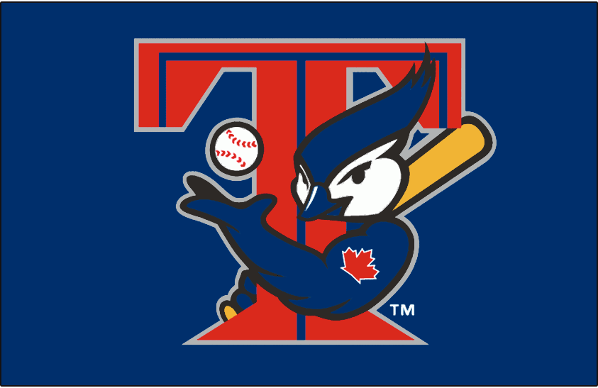 Toronto Blue Jays 2001-2003 Cap Logo DIY iron on transfer (heat transfer)